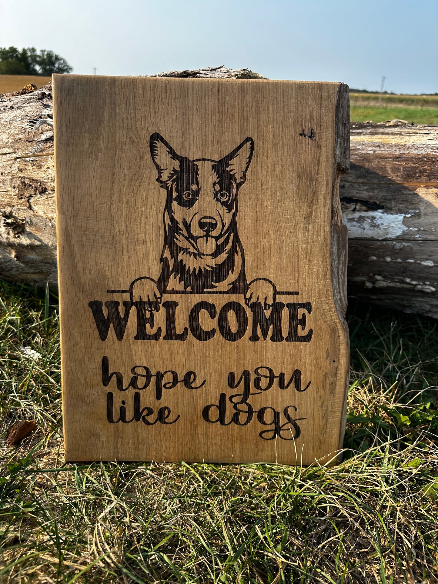 Hope You Like Dogs Sign (Australian Cattle Dog)