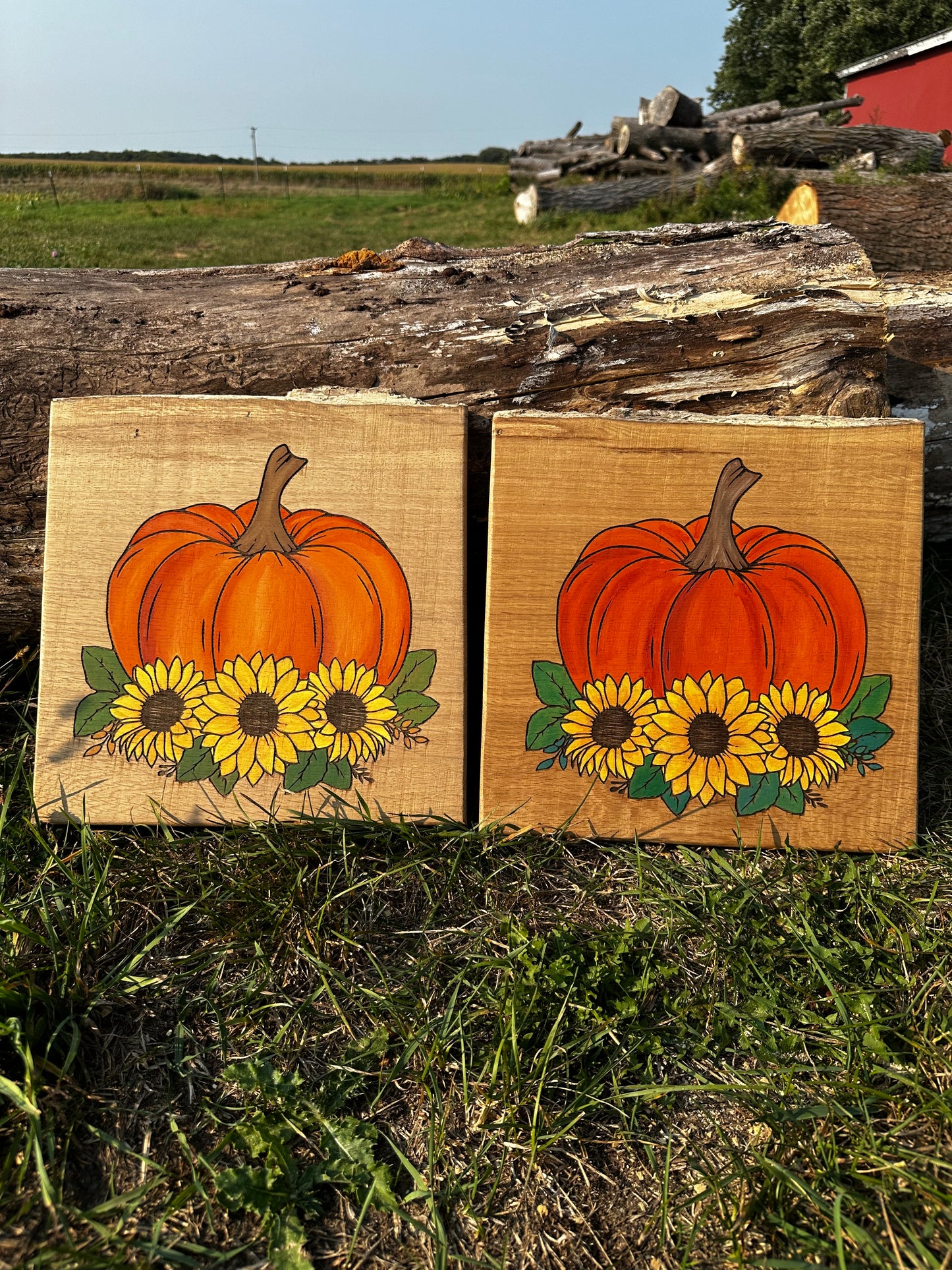 Floral Pumpkin Sign Set