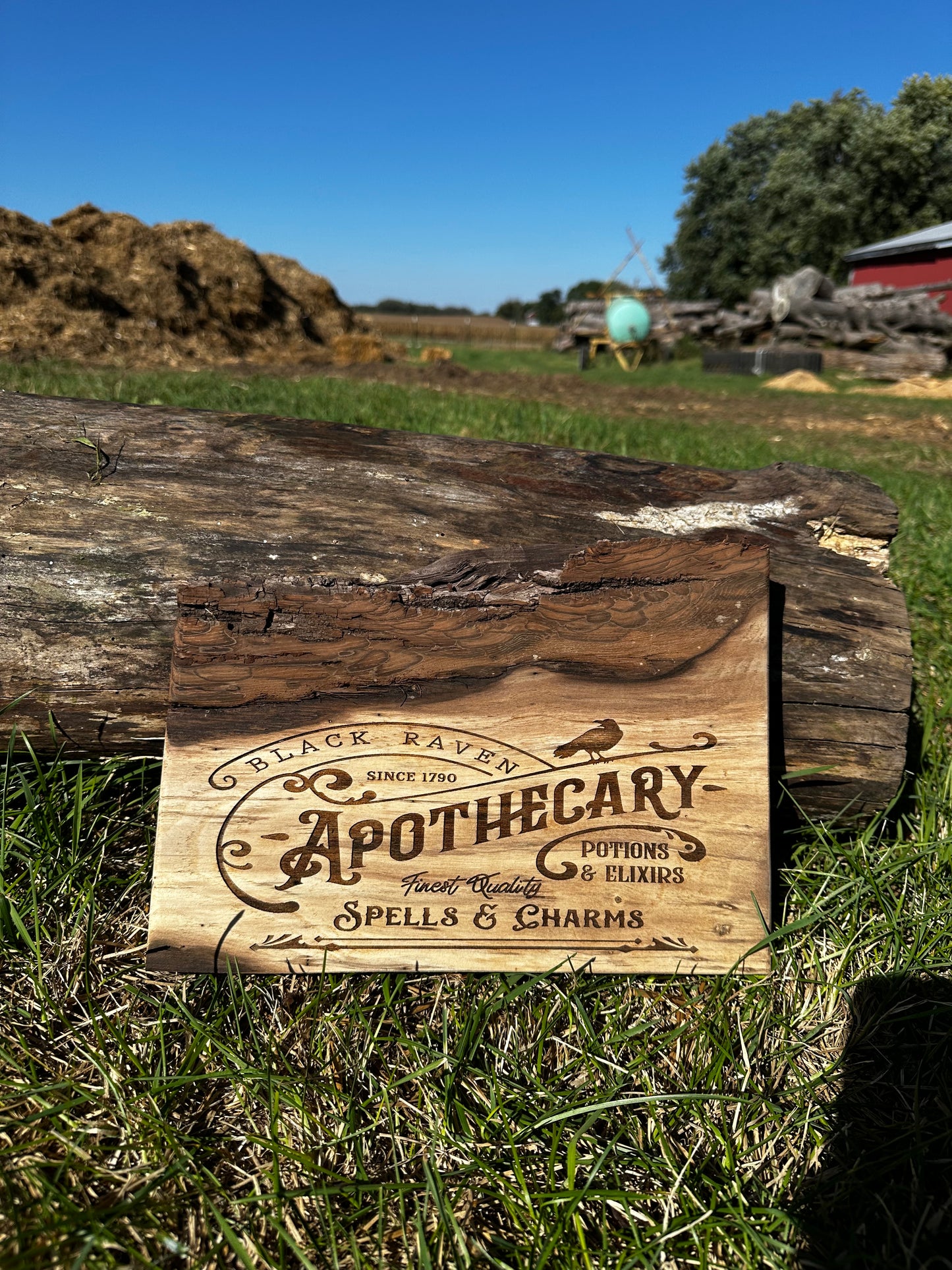 Black Raven Apothecary Sign